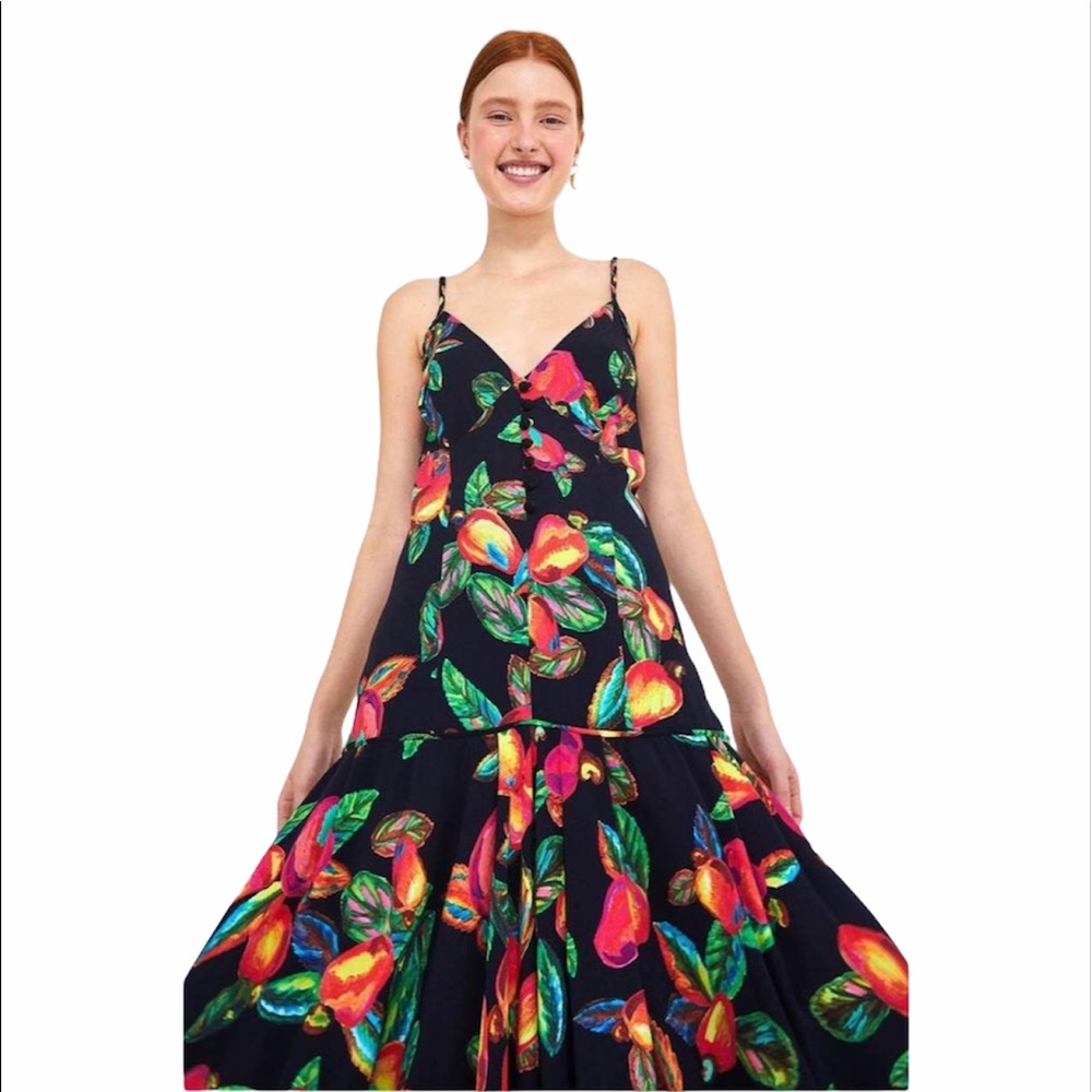 New ANTHRO FARM RIO Cashew Midi Floral Dress